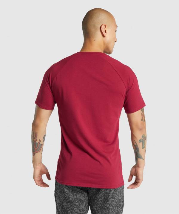 Panske Tricka Gymshark Critical 2.0 Bordove | TR7093845